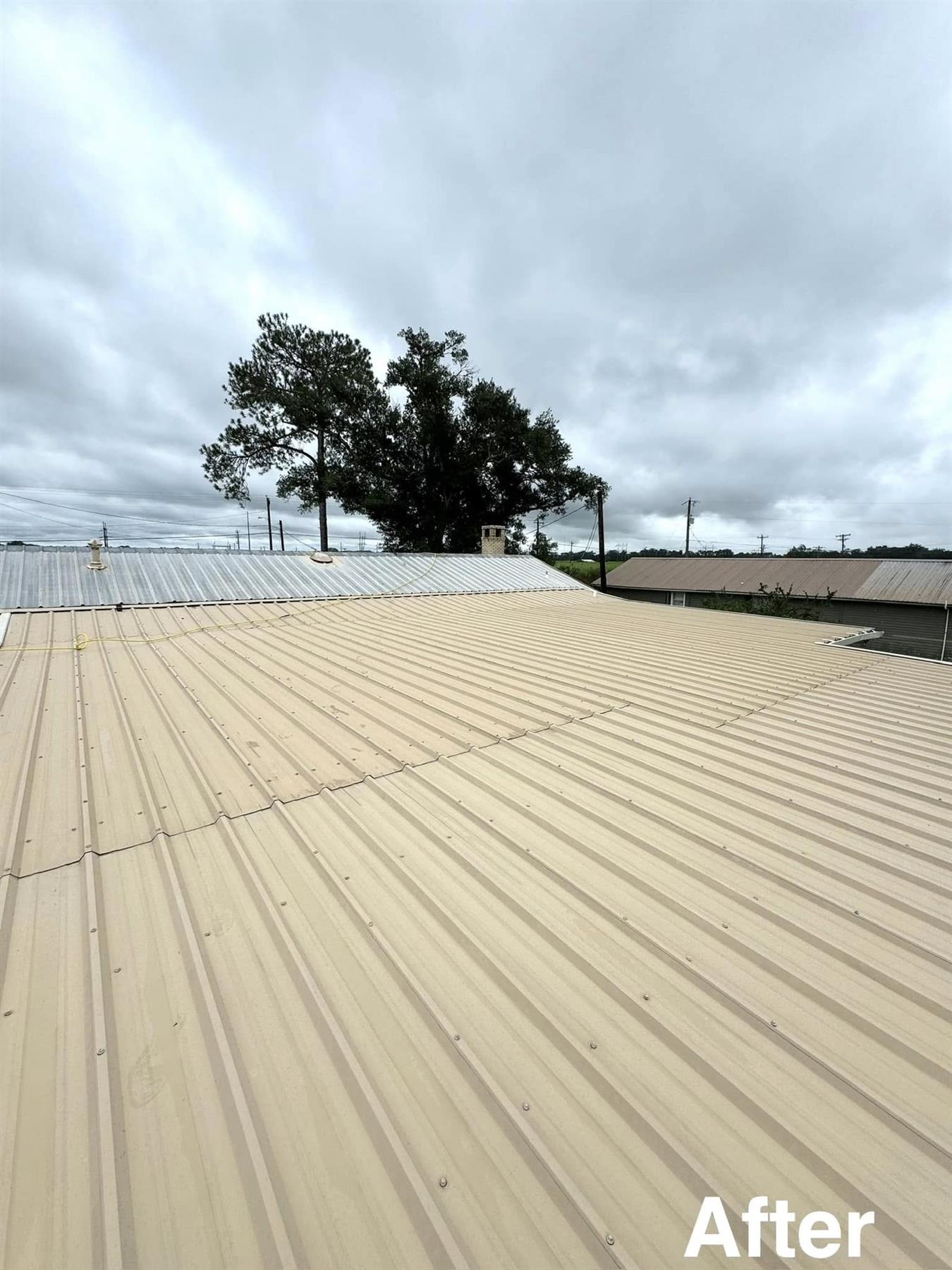 Roof cleaning results