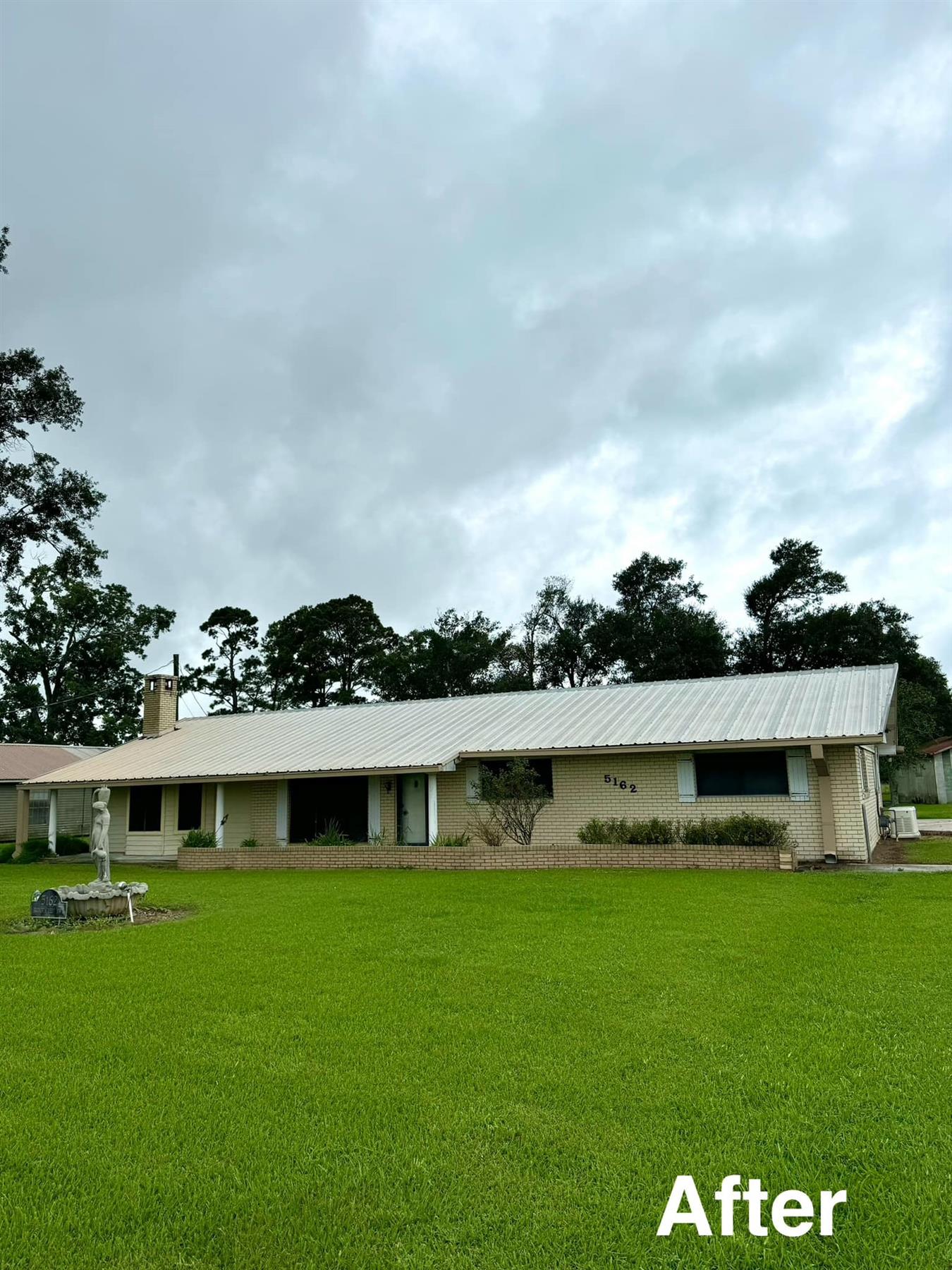 Professional roof cleaning